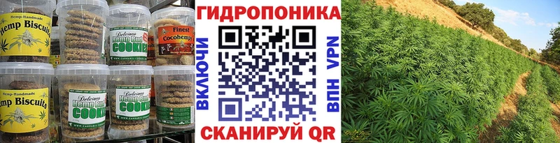 Cannafood конопля  закладки  Грайворон 