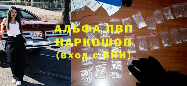 крисы Алексин