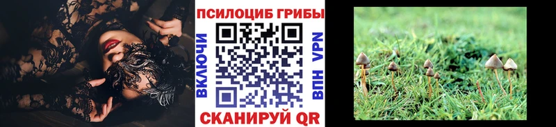 Галлюциногенные грибы GOLDEN TEACHER  где найти наркотики  Грайворон 